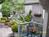 Garden Walk Bed & Breakfast (The)::BedAndBreakfast.com