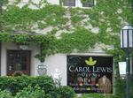 Carol Lewis Day Spa
