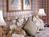 Chesterfield Hotel Palm Beach::Orbitz