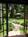 Old Grove House::BedAndBreakfast.com