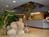 Comfort Inn And Suites At Asu::Travelocity.com