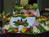 Holiday Inn Palmdale-Lancaster::Priceline.com