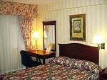 Tn-nyc_pana-rooms-1