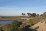 Tn-image_1_537