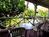 Best Western Pioneer Inn::Priceline.com
