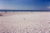 Cortez Beach::Jenniferb
