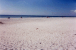 Cortez Beach