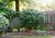 Lyndon House::BedAndBreakfast.com