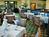 Lansdowne Resort::Expedia