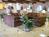 Holiday Inn Brownsville from Orbitz