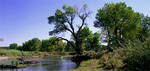 Tn-carsonriverranches-picture