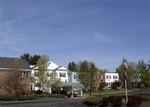 Tn-ny338_b4