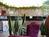 Bellevue Hotel and Suites::Orbitz