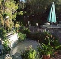 Tohono Chul Park Tea Room::Yahoo! Travel