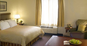 Web-room2-20070314-115003-178
