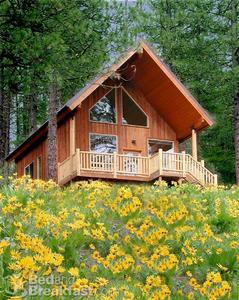 Mountain Home Lodge::BedAndBreakfast.com
