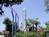 Knott's Berry Farm::ThrillNetwork.com