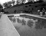 Tn-104019_pool_01_f