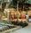 Deauville Beach Resort Miami Beach::Orbitz