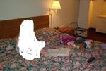 Skyway Inn Seatac