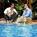 Marriott Orlando Airport::Orbitz