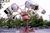Knoebel's::ThemeParksOnline