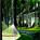Daufuskie Island Club::Priceline.com