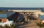 Dolphin Oceanfront Motel