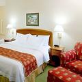 Tn-pal_wpbm-rooms-1