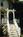 Pinky-zz_25731-exter-1