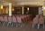 Holiday Park Hotel & Suites::Orbitz