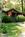 Mountain Brook Cottages::BedAndBreakfast.com