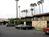 Best Western Pine Tree Motel::Travelocity.com