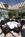 Holiday Inn Willowbrook Hinsdale::Orbitz