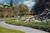 Pinky-p38825_ext_02_e