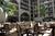Embassy Suites Hotel Seattle-Bellevue from TravelPost.com