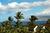 Maui Kamaole Beach Condo Home Realty::Orbitz