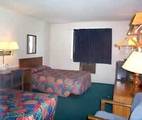 Super 8 Albany::Travelocity.com