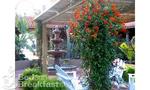 Casa de Siesta Bed & Breakfast