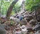 Solstice Canyon
