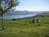 Campbells Resort & Conference Ctr::tripadvisor