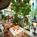 Embassy Suites Santa Ana - Orange County Airport North::Expedia
