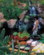 The Spa at Manele