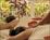 Honua Spa from Qingd