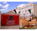 Comfort Suites - Sawgrass
