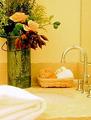 Tn-npa_inns-bathr-1