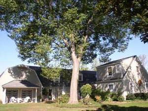 Marl Inn::Hotels.com