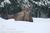 Allens Alaska Adventures::BedAndBreakfast.com