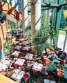 Cliff Lodge And Spa