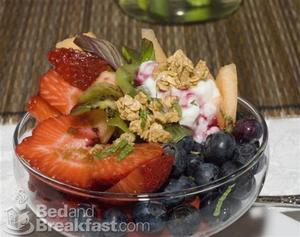 Dundee Manor Bed and Breakfast::BedAndBreakfast.com